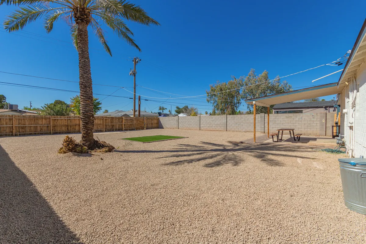A casual backyard scene featuring a palm tree, gravel landscaping, and a covered patio area. This outdoor setting is great for relaxing or socializing with your pet after an active day exploring local parks and cafes.